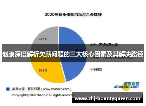 赵鹏深度解析欠薪问题的三大核心因素及其解决路径