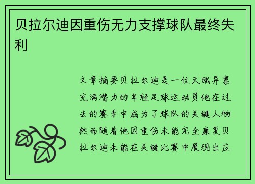 贝拉尔迪因重伤无力支撑球队最终失利 贝拉尔迪因重伤无力支撑球队最终失利