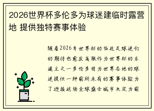 2026世界杯多伦多为球迷建临时露营地 提供独特赛事体验